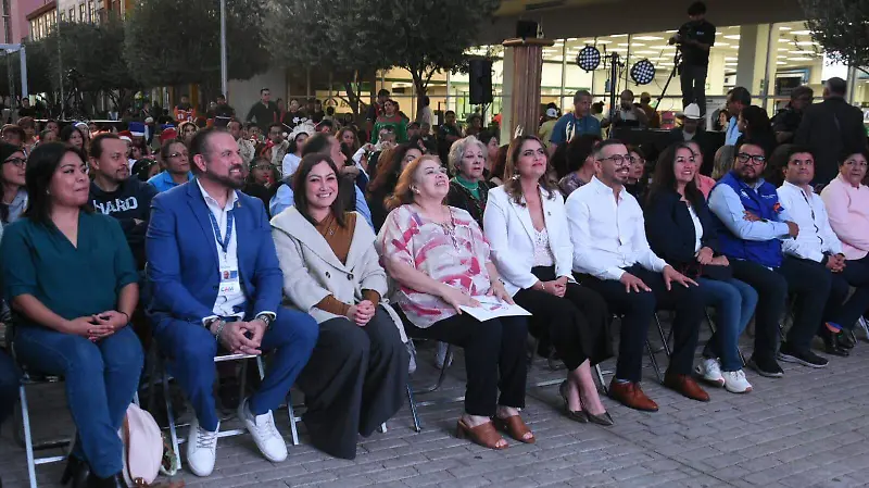 Villa-Navideña-Irapuato